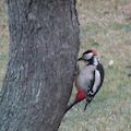 dsc02192.jpg