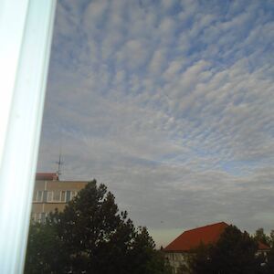 dsc06724.jpg