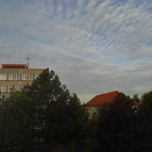 dsc06725.jpg