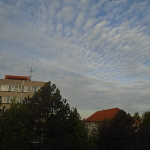 dsc06726.jpg