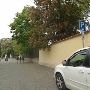 dsc06727.jpg