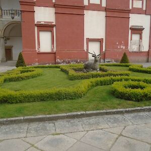 dsc06742.jpg