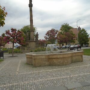 dsc06754.jpg