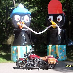 sdc10001.jpg