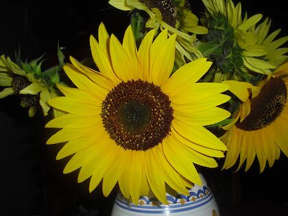 každý den  s úsměvem