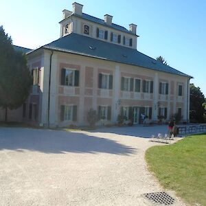 dsc07137.jpg
