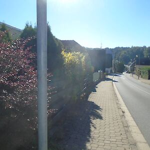 dsc07220.jpg