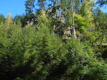 Výlet do Nového Města nad Metují