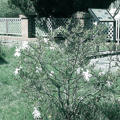 Procházka Doruškou