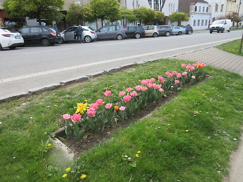 Dnes Nové Město nad Metují