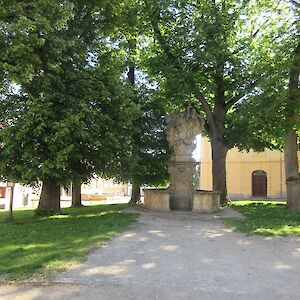 img_1398.jpg