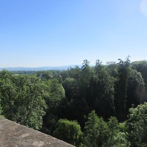 img_1405.jpg