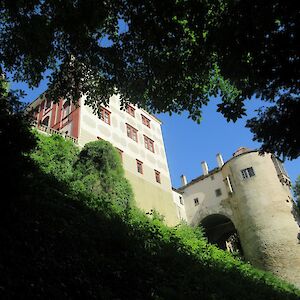 img_1408.jpg