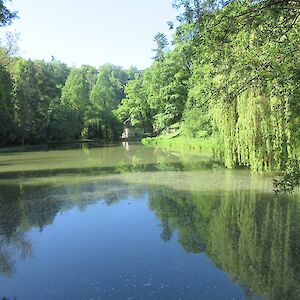 img_1409.jpg
