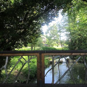 img_1410.jpg