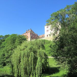 img_1411.jpg