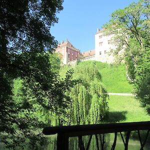 img_1412.jpg