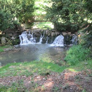 img_1416.jpg