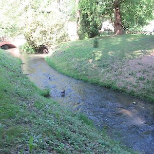 img_1420.jpg