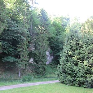 img_1422.jpg