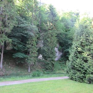 img_1423.jpg