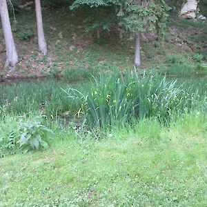 img_1424.jpg