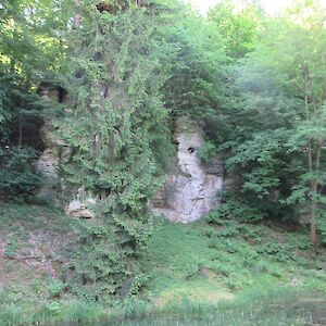 img_1425.jpg