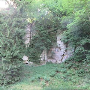 img_1427.jpg