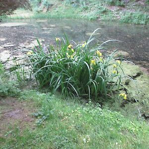 img_1428.jpg