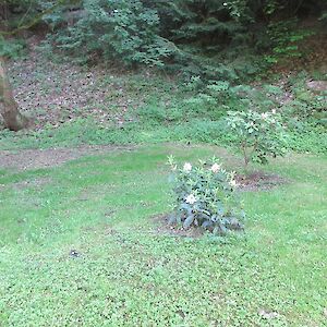 img_1429.jpg
