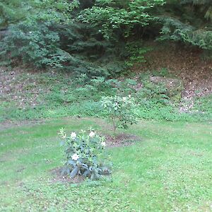 img_1430.jpg