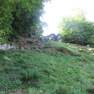 img_1431.jpg