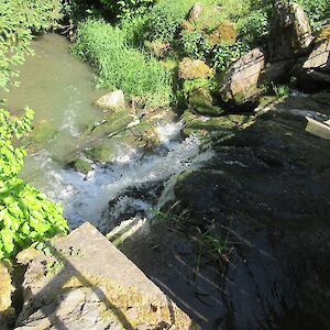 img_1437.jpg