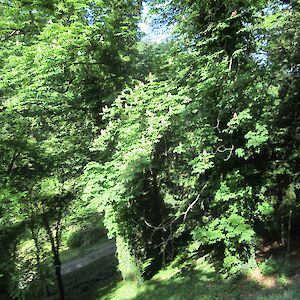 img_1438.jpg