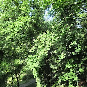 img_1439.jpg