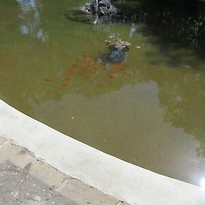 img_1442.jpg