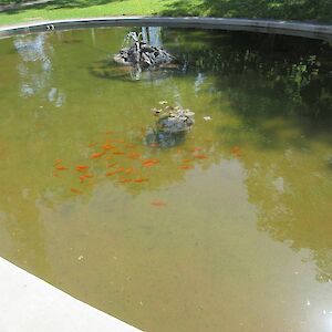 img_1443.jpg