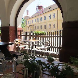 img_1447.jpg