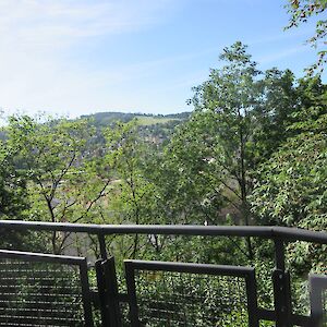 img_1459.jpg