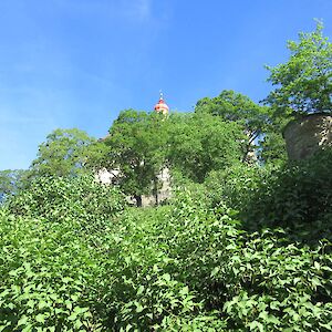 img_1464.jpg