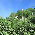 img_1465.jpg