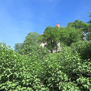 img_1465.jpg