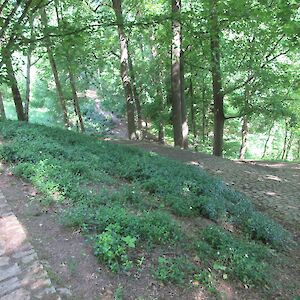 img_1466.jpg