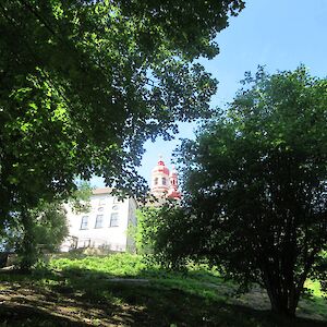 img_1467.jpg