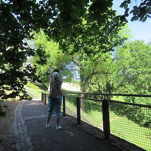 img_1469.jpg