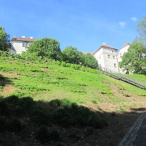 img_1470.jpg
