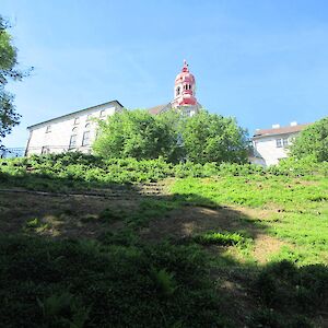 img_1471.jpg