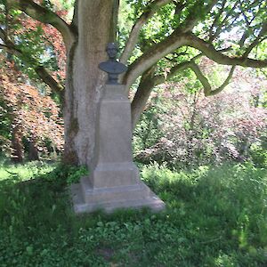 img_1473.jpg