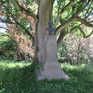 img_1474.jpg