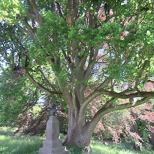 img_1475.jpg
